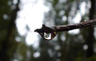 20091111_0092.jpg